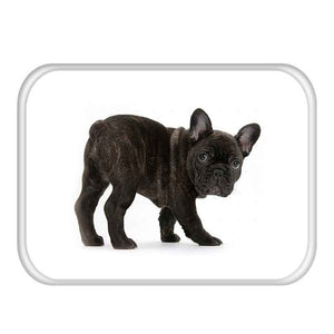 Creative French Bulldog Printing Bath Mat